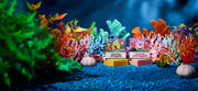 SpongeBob 4-Pack Z5