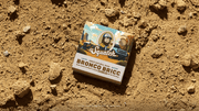 Bronco Bricc P1