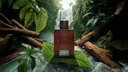 Rainforest Mist Cologne H7