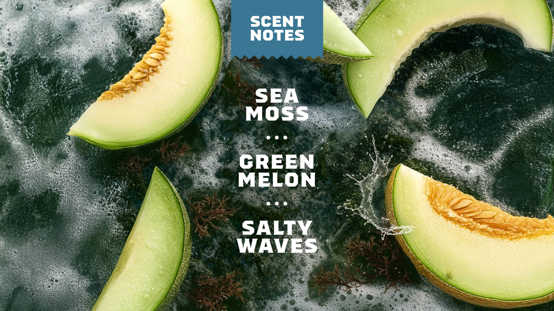 Coastal Mist Hand Soap E4