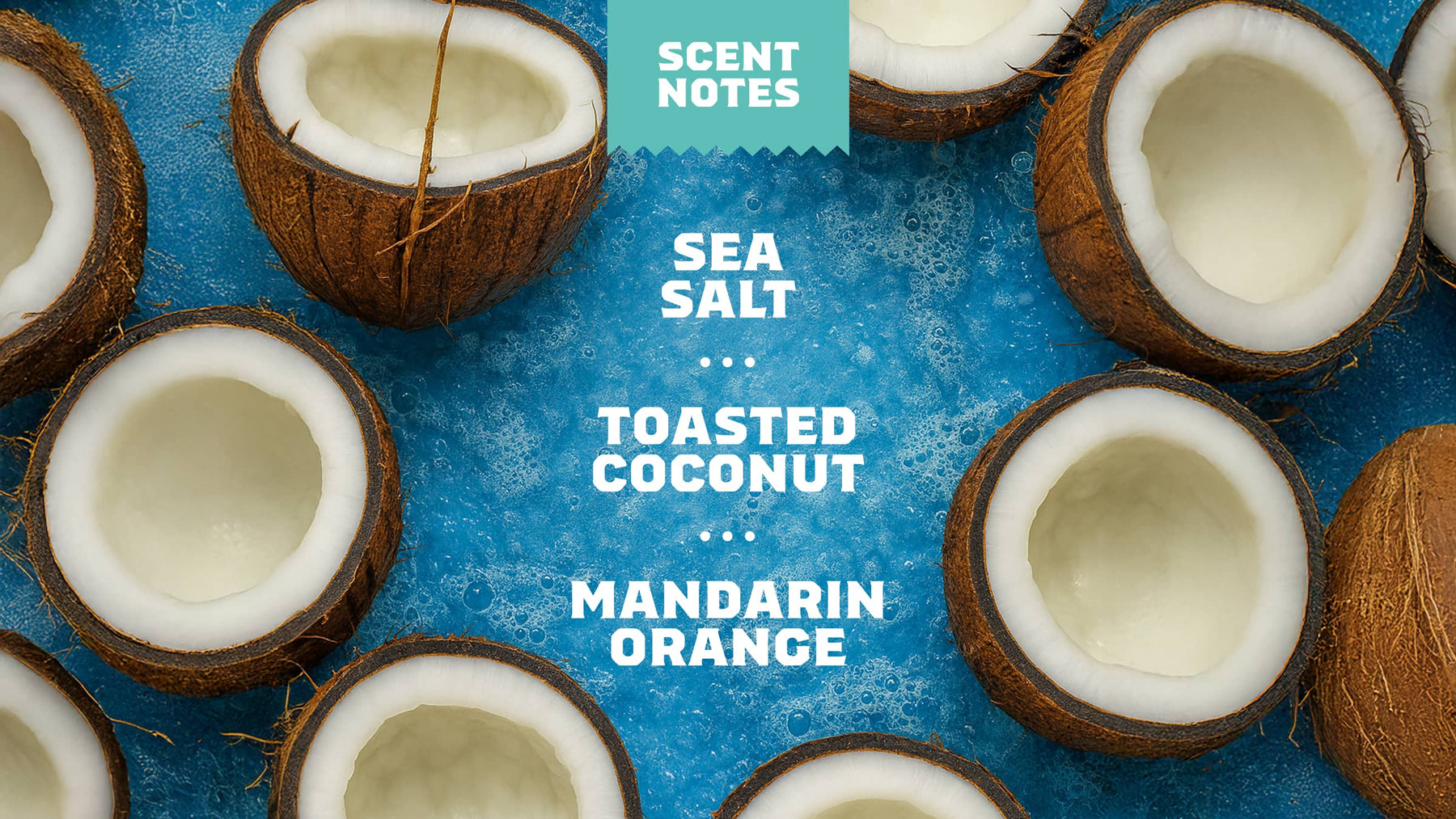 Coconut Castaway Lotion W6
