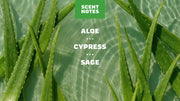 Cool Fresh Aloe Lotion A7