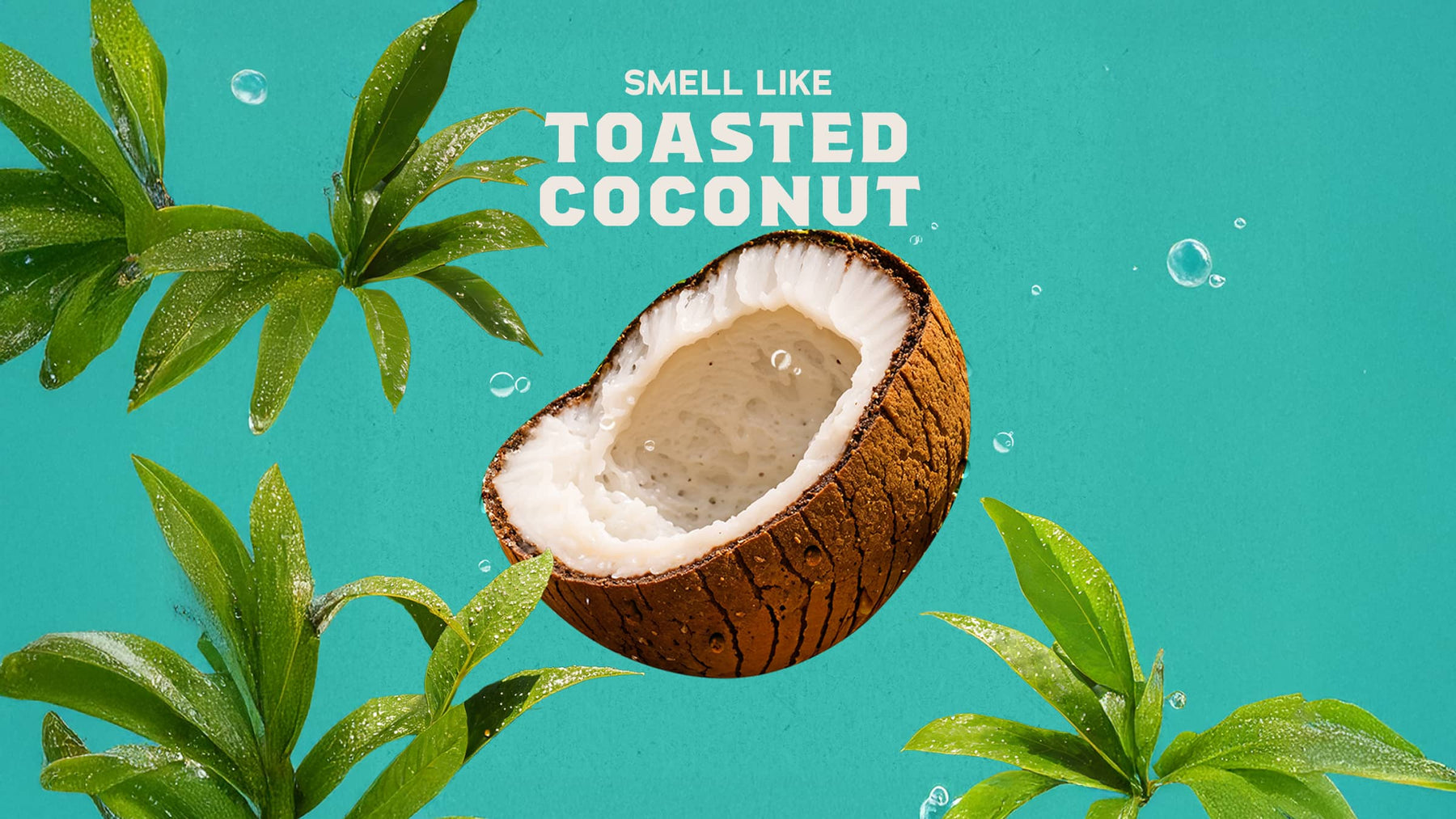 Coconut Castaway Hand Soap M4