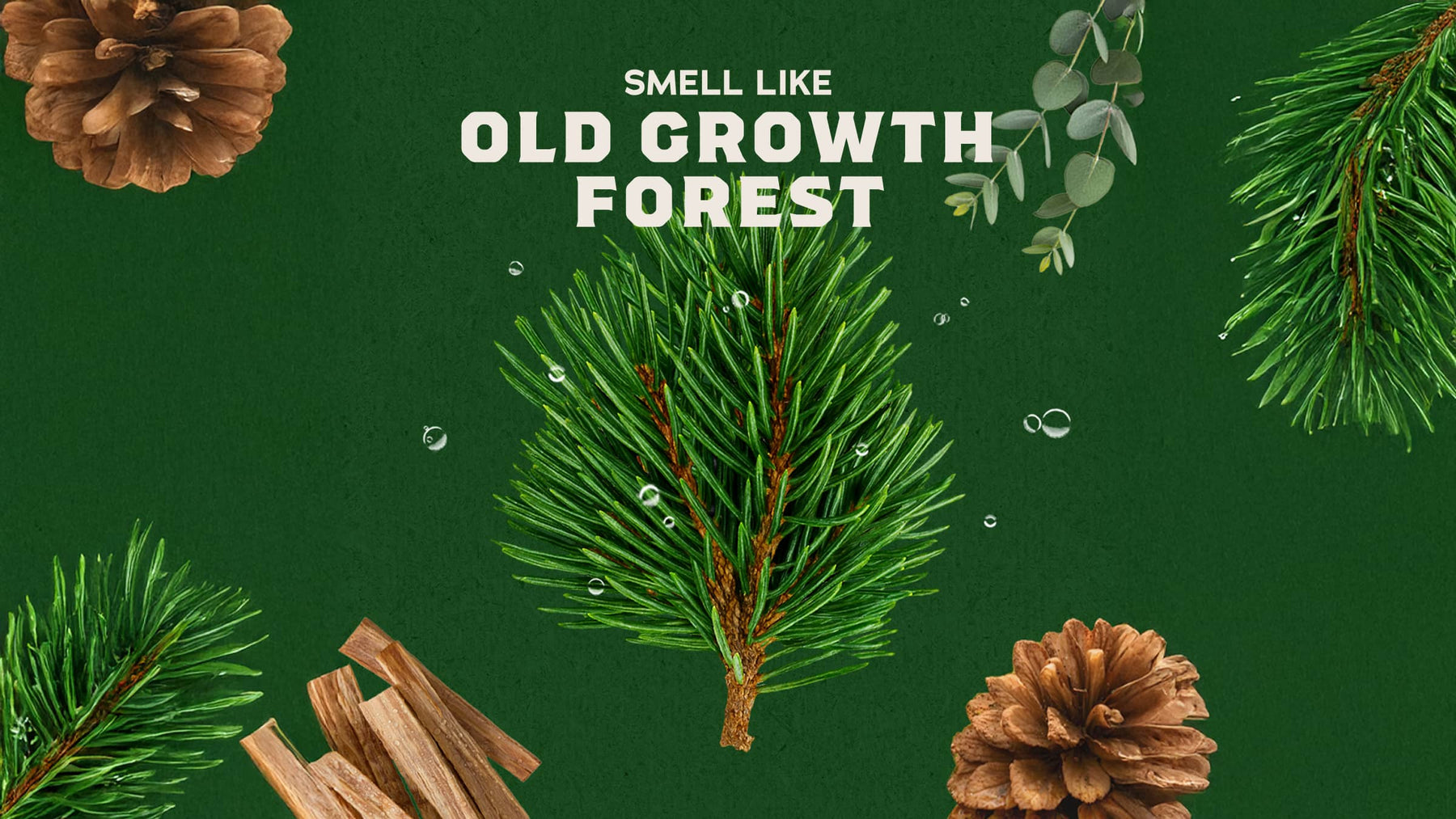 Pine Tar Conditioner E9