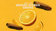 Summer Citrus Hand Soap P0